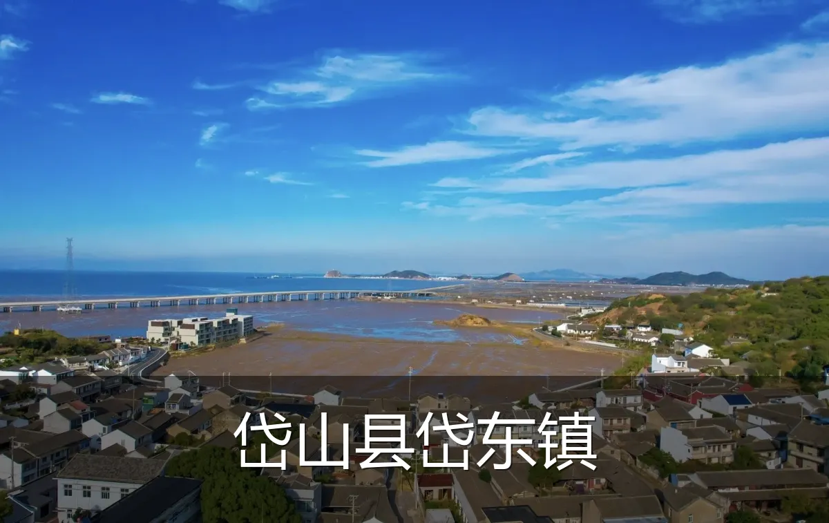 岱山县岱东镇